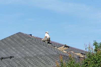 Local Roofing Experts